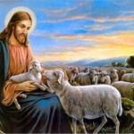 Chúa nhật XVI thường niên, năm B: Các bài suy niệm & chú giải Lời Chúa