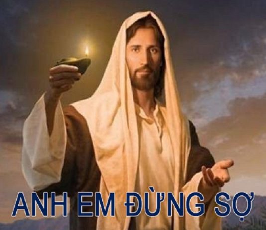 Chúa nhật XII thường niên, năm A: Các bài suy niệm & chú giải Lời Chúa