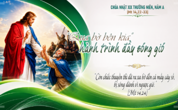 Chúa nhật XIX thường niên, năm A: Các bài suy niệm & chú giải Lời Chúa