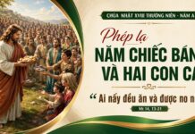 Chúa nhật XVIII thường niên, năm A: Các bài suy niệm & chú giải Lời Chúa