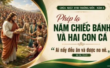 Chúa nhật XVIII thường niên, năm A: Các bài suy niệm & chú giải Lời Chúa
