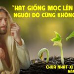 Lời nguyện tín hữu | Chúa nhật 11 thường niên năm B