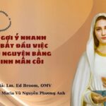 20 gợi ý nhanh để bắt đầu việc cầu nguyện bằng kinh Mân Côi
