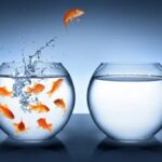 Bí quyết để tự do hơn trên mạng xã hội
