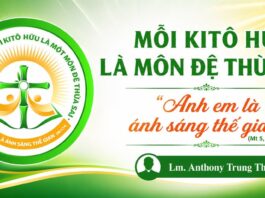 Mỗi Ki tô hữu là một môn đệ thừa sai – “Anh em là ánh sáng thế gian” (Mt 5, 14)
