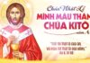 Lễ Mình và Máu Thánh Chúa Kitô, năm A: Các bài suy niệm & chú giải Lời Chúa