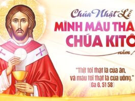 Lễ Mình và Máu Thánh Chúa Kitô, năm A: Các bài suy niệm & chú giải Lời Chúa