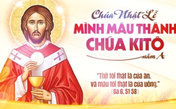 Lễ Mình và Máu Thánh Chúa Kitô, năm A: Các bài suy niệm & chú giải Lời Chúa