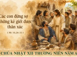 Chúa nhật XII thường niên, năm A: Các bài suy niệm & chú giải Lời Chúa