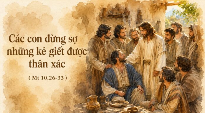Chúa nhật XII thường niên, năm A: Các bài suy niệm & chú giải Lời Chúa