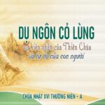 Chúa nhật XVI thường niên, năm A: Các bài suy niệm & chú giải Lời Chúa