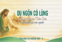 Chúa nhật XVI thường niên, năm A: Các bài suy niệm & chú giải Lời Chúa