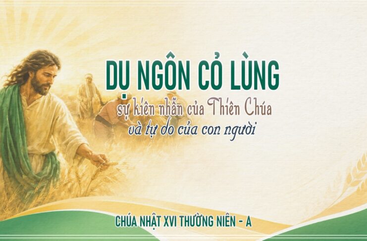 Chúa nhật XVI thường niên, năm A: Các bài suy niệm & chú giải Lời Chúa